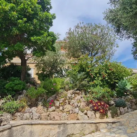 Beautiful And Spacious House With Sea View Les Issambres