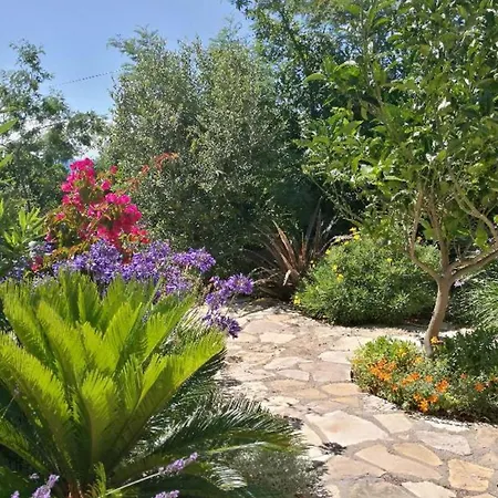 Beautiful And Spacious House With Sea View Hotel